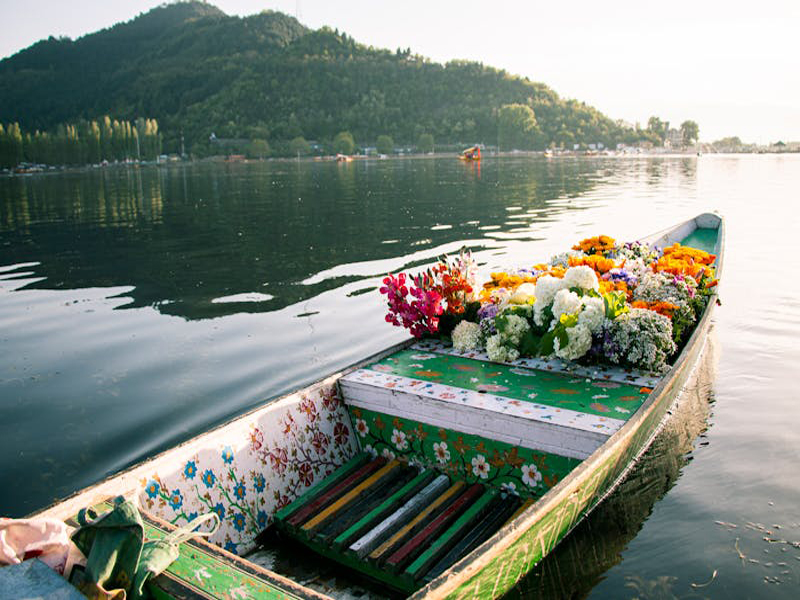 kashmir