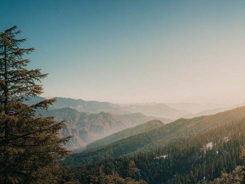 shimla